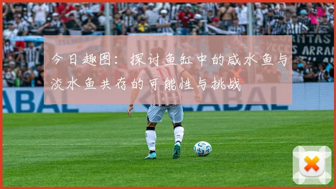 今日趣图：探讨鱼缸中的咸水鱼与淡水鱼共存的可能性与挑战