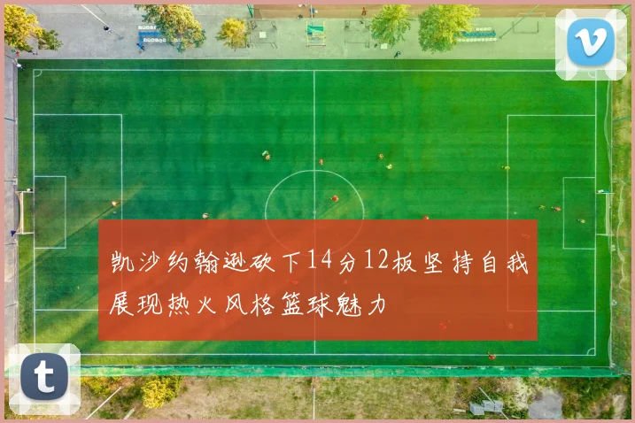 凯沙约翰逊砍下14分12板坚持自我展现热火风格篮球魅力