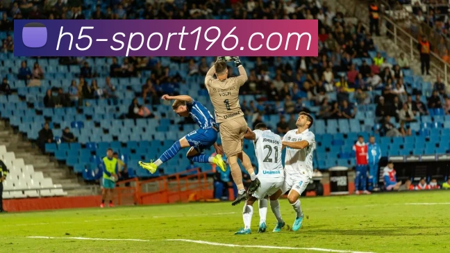 196体育平台生态图