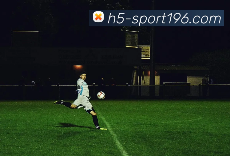 196体育APP 封面图